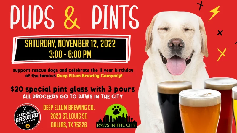 16 to 9 ratio - PITC Pups and Pints