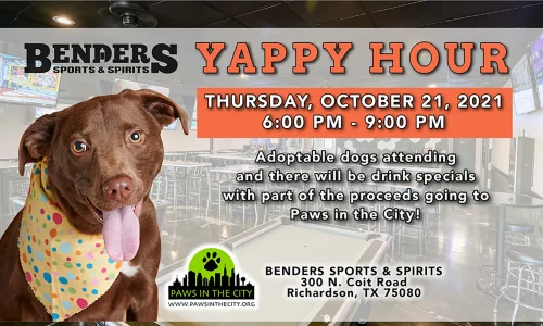 Yappy-Hour-at-Benders-Sports-and-Spirits-October-2021